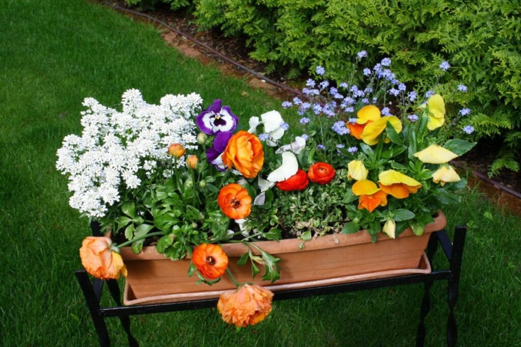 Tips til at gøre haven klar til sommer